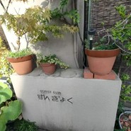 すいぎょく園 本店