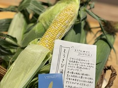 北海道産 さきちゃん🌽