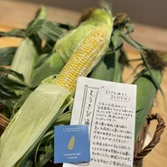 北海道産 さきちゃん🌽