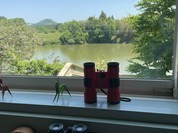 カフェ ミモザガーデン