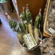 キャロット