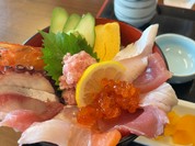 魚魚魚