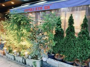 ナポリスタカ 神谷町店