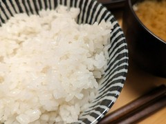 銀座 とんかつ 斉藤