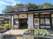 おんさい館