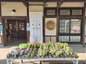 おんさい館