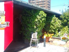 イタリア料理 ベルコルノ