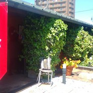 イタリア料理 ベルコルノ
