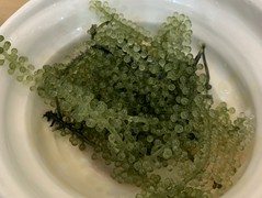 海鮮居酒屋 天秤棒 千日前本店