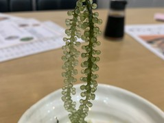 海鮮居酒屋 天秤棒 千日前本店