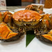 上海蟹