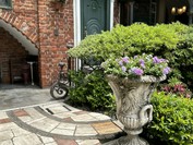 マダム・トキ （Madame Toki）