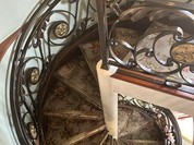 マダム・トキ （Madame Toki）