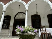 マダム・トキ （Madame Toki）