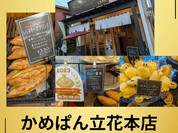 かめぱん