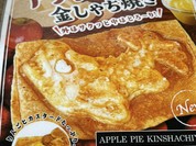 KINSHACHIYAKI