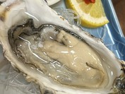 山浦鮨