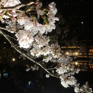 土佐堀川沿いビルマビル北浜7階