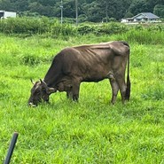 三良坂フロマージュ