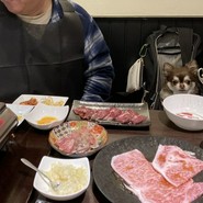 愛犬と一緒に食せます。
