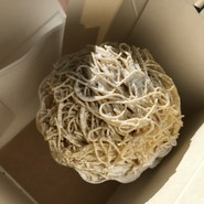 お菓子の蔵 太郎庵 猪苗代店