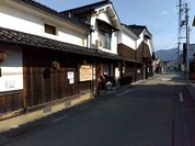 老松