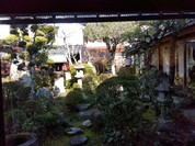 老松