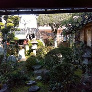 老松