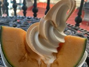 ポプラファーム 小樽店