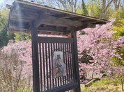 草如庵