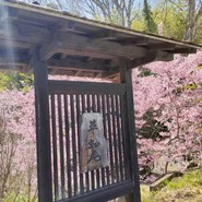 草如庵
