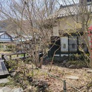 草如庵