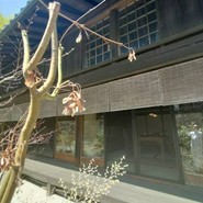 草如庵