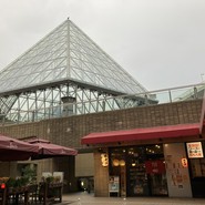 やん！ なんば本店