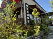 麻里布珈琲 ROASTER