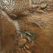 北海道かに将軍 岐阜店