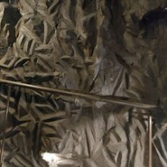 北海道かに将軍 岐阜店