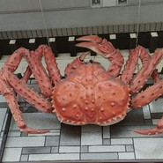 北海道かに将軍 岐阜店