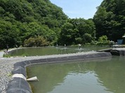 ライダーズカフェ ワイルドフィッシュ