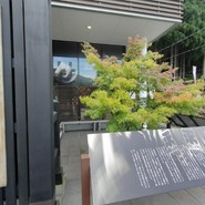 團助