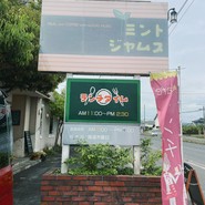 ミントジャムス