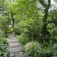 ミステリアスな小道