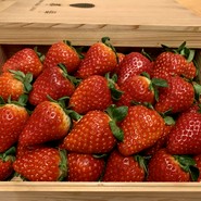 SUGALABO（スガラボ）