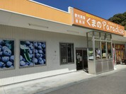 くまのパラダイス