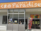 くまのパラダイス