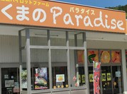 くまのパラダイス