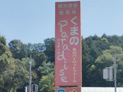くまのパラダイス