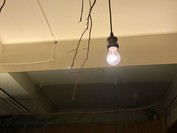 鹿鳴茶流　入舩