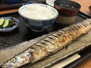 だしの店 つみ木