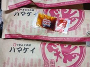 ハマケイ 川崎アゼリア店